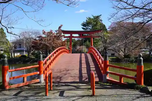 涼ケ岡八幡神社の鳥居