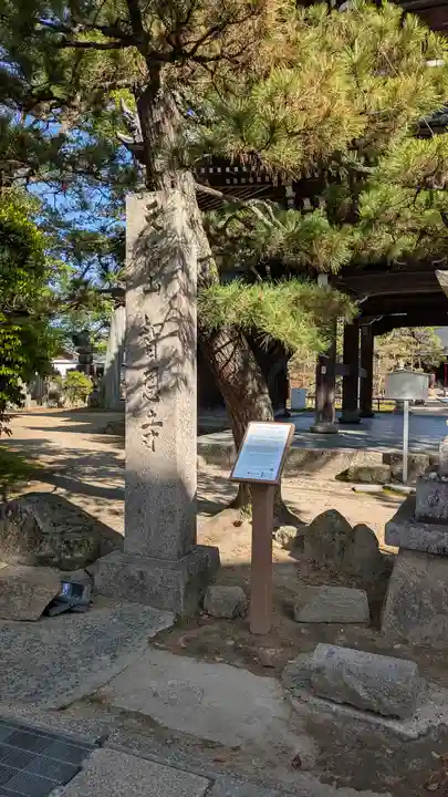 智恩寺(京都府)