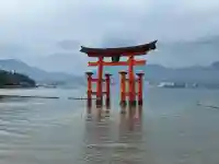 厳島神社の{uncategorized: "未分類", other: "その他", undefined: "問題あり", building: "その他建物", grave: "お墓", sacred_gate: "鳥居", guardian: "狛犬", statue: "像", buddha: "仏像", history: "歴史", nature: "自然", garden: "庭園", animal: "動物", pagoda: "塔", temizu: "手水舎", mountain_gate: "山門・神門", sanctuary: "本殿・本堂", subordinate: "末社・摂社", art: "芸術", scenery: "景色", jizo: "地蔵", ema: "絵馬", goshuin: "御朱印", omikuji: "おみくじ", items: "授与品その他", amulet: "お守り", goshuincho: "御朱印帳", eats: "食事", festival: "お祭り", votive_dance: "神楽", shichigosan: "七五三参", wedding: "結婚式", experience: "体験その他", initially: "初詣", around: "周辺", anti_infection: "感染症対策"}