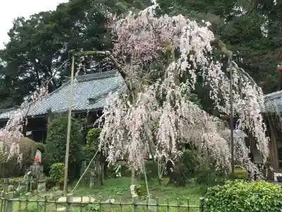 大野寺(奈良県)