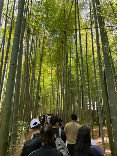 報国寺(神奈川県)