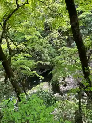 元伊勢天岩戸神社(京都府)