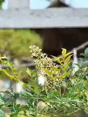 倶梨迦羅神社(長野県)