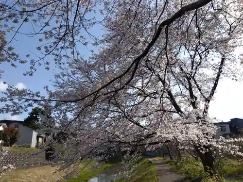 北土橋稲荷神社（猫又稲荷）(新潟県)