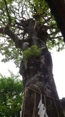 蛇窪神社(東京都)