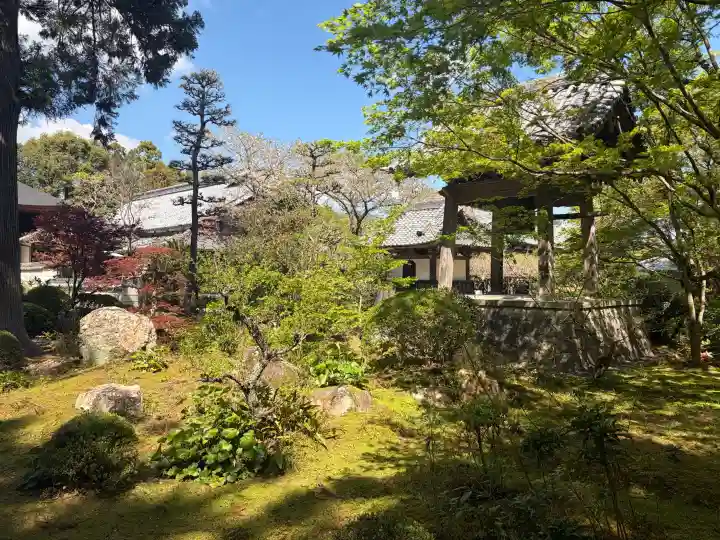 龍潭寺の{uncategorized: "未分類", other: "その他", undefined: "問題あり", building: "その他建物", grave: "お墓", sacred_gate: "鳥居", guardian: "狛犬", statue: "像", buddha: "仏像", history: "歴史", nature: "自然", garden: "庭園", animal: "動物", pagoda: "塔", temizu: "手水舎", mountain_gate: "山門・神門", sanctuary: "本殿・本堂", subordinate: "末社・摂社", art: "芸術", scenery: "景色", jizo: "地蔵", ema: "絵馬", goshuin: "御朱印", omikuji: "おみくじ", items: "授与品その他", amulet: "お守り", goshuincho: "御朱印帳", eats: "食事", festival: "お祭り", votive_dance: "神楽", shichigosan: "七五三参", wedding: "結婚式", experience: "体験その他", initially: "初詣", around: "周辺", anti_infection: "感染症対策"}