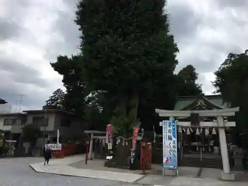 川越八幡宮の自然