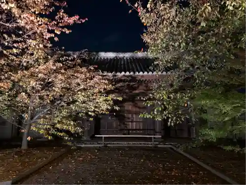 東寺（教王護国寺）(京都府)