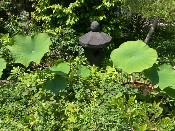 大巧寺(神奈川県)