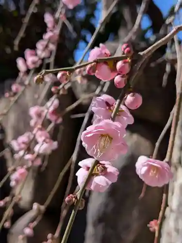 瑞円寺(東京都)
