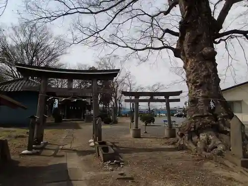 阿保神社の鳥居