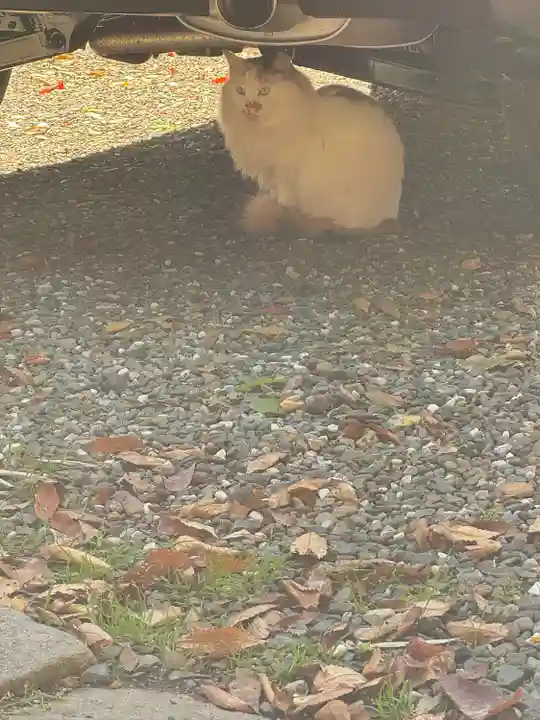 阿邪訶根神社(福島県)