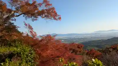 善峯寺(京都府)