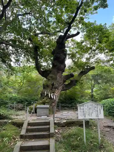 那須温泉神社(栃木県)