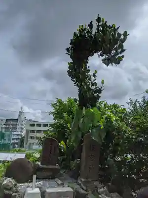 天久宮(沖縄県)