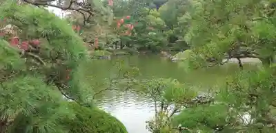 成田山新勝寺(千葉県)