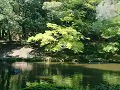 成田山新勝寺の庭園