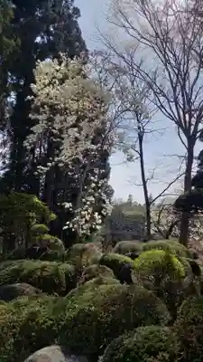 牛伏寺(長野県)