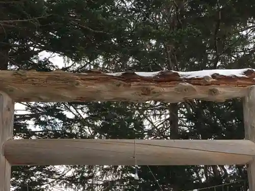 大鳥神社の鳥居