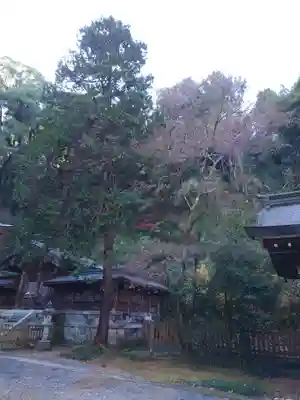 武蔵二宮 金鑚神社(埼玉県)