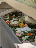鳩森八幡神社(東京都)