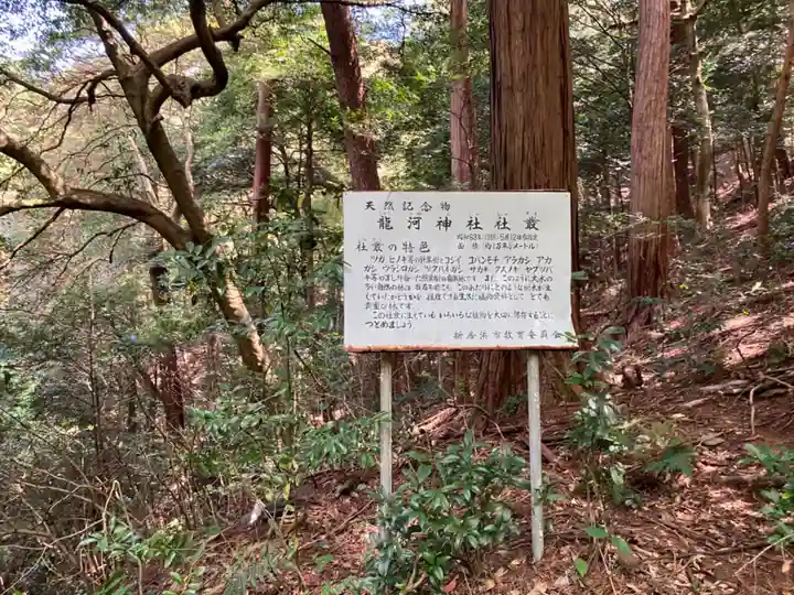 龍河神社のその他建物