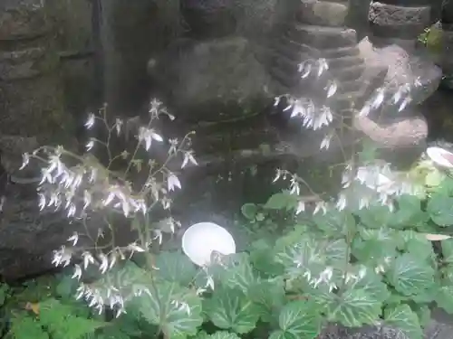 岩窟不動尊（巌窟不動尊／窟堂不動尊／窟堂／岩屋堂）の自然