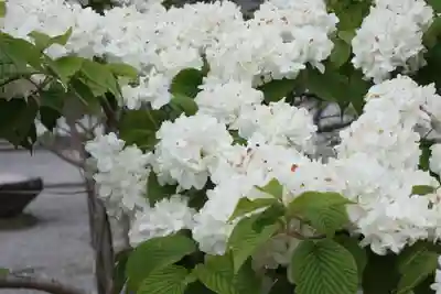 當麻寺(奈良県)