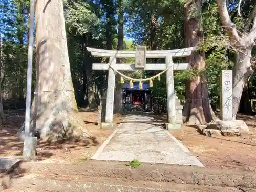 鹿島神社 本殿(栃木県)