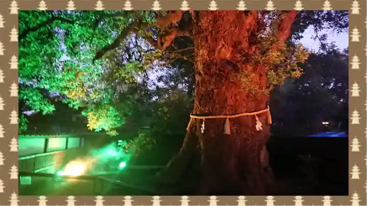 上野東照宮(東京都)