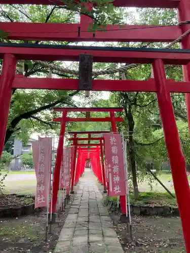 於菊稲荷神社(群馬県)
