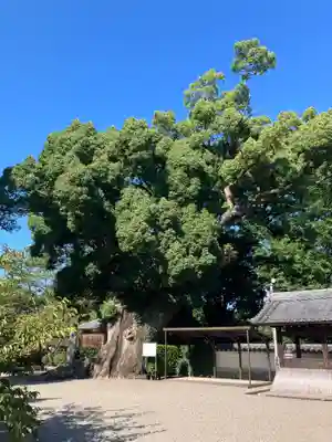 粉河寺(和歌山県)