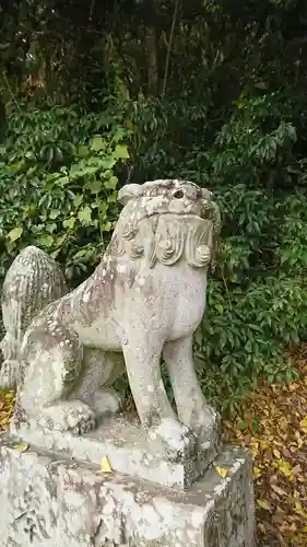 小島阿蘇神社の狛犬