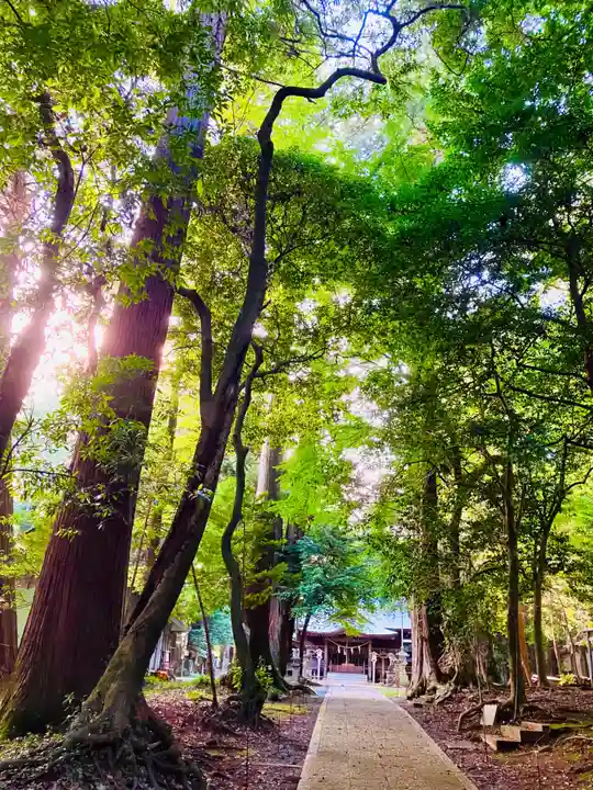 鴨鳥五所神社(茨城県)