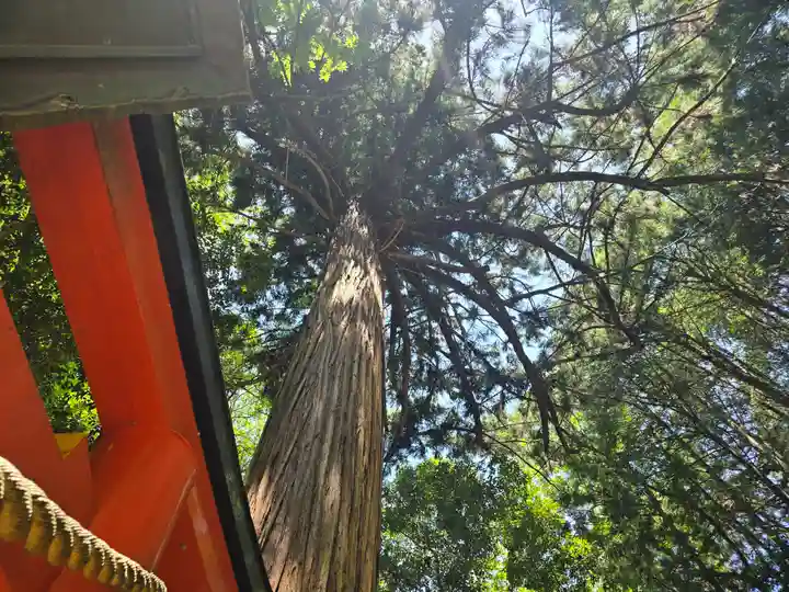 霊山寺奥之院(奈良県)