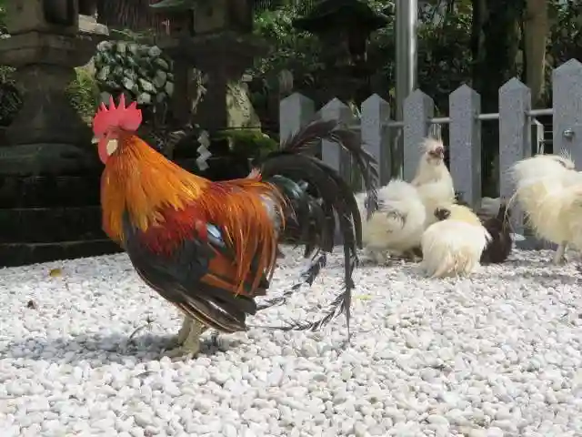 石上神宮(奈良県)