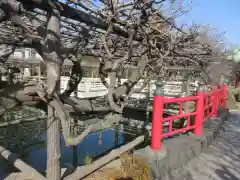 亀戸天神社(東京都)