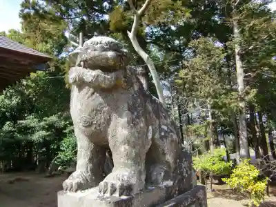 椿ノ海 水神社の狛犬