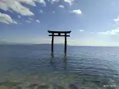 白鬚神社の鳥居