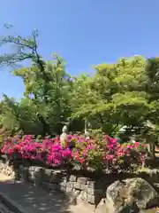 伊勢の国 四天王寺の庭園