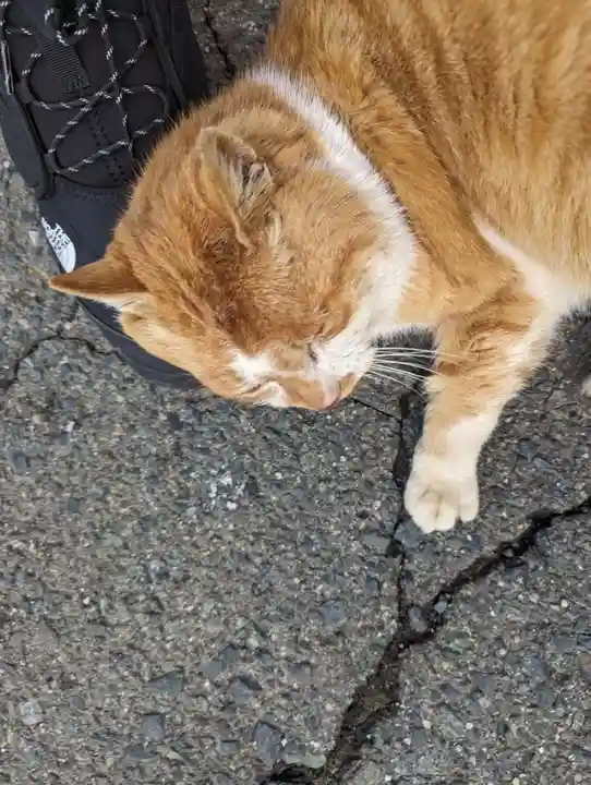早池峯神社(岩手県)
