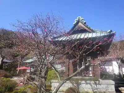 海蔵寺のその他建物