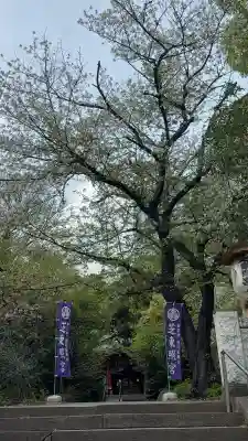 芝東照宮の御朱印