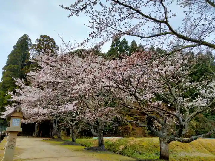 神魂神社(島根県)