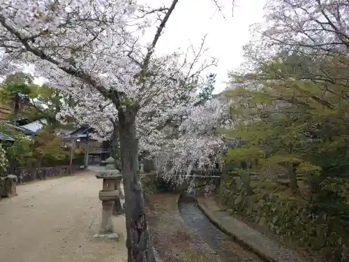 厳島神社(広島県)