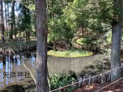 矢彦神社(長野県)
