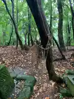 御嶽神社の自然