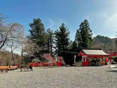 金櫻神社のその他建物