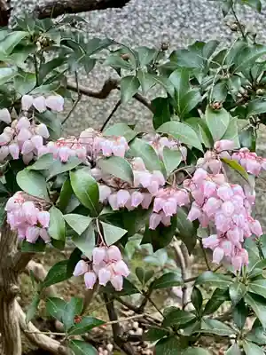極楽寺(京都府)