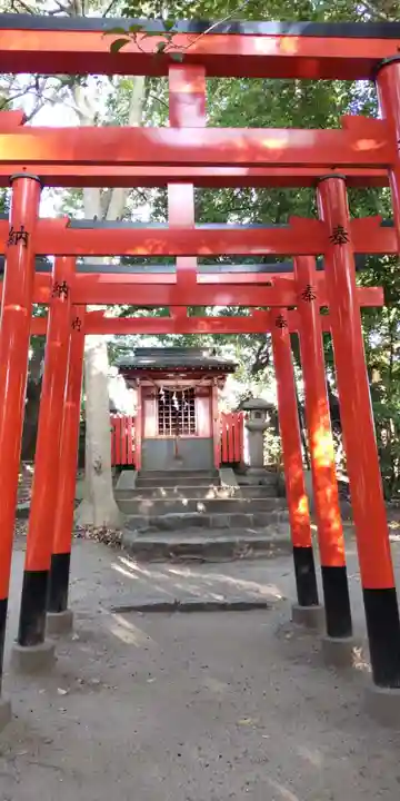 亀之森住吉神社(大阪府)